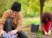 L'uomo piantava alberi, parco