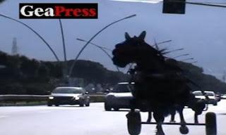 Operazione “Gramigna”, chiesti 48 rinvii a giudizio per i nuovi vertici messinesi di Cosa Nostra