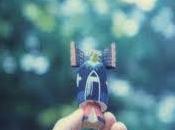 Orcas Arrow Drawn Video Testo Traduzione