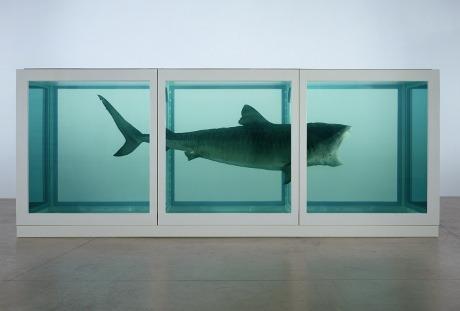 Damien Hirst shark Tate