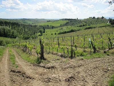 Il vino...una carezza segreta che mi risveglia ricordi