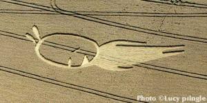 CROP CIRCLES: MESSAGGI MULTIMEDIALI