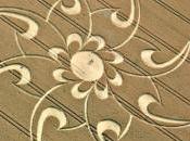 Crop circles: messaggi multimediali
