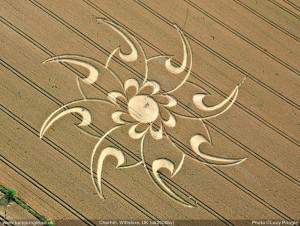 CROP CIRCLES: MESSAGGI MULTIMEDIALI