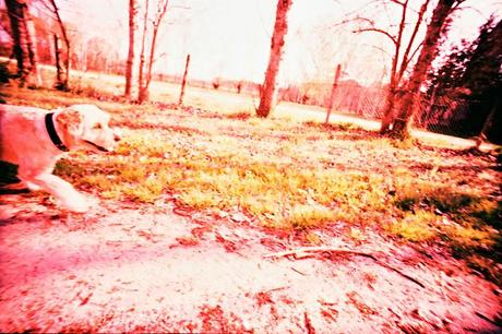 LOMOGRAPHY • scatti random LC-Wide e SENSIA 100