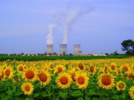 Il Giappone dice addio al nucleare, chiude l’ultima centrale nipponica