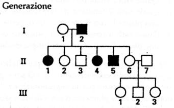 Alberi genealogici: esercizi con soluzioni 2