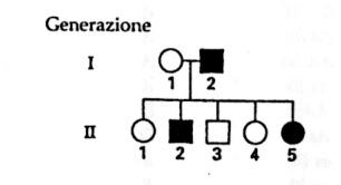 Alberi genealogici: esercizi con soluzioni 1