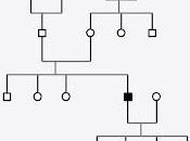 Alberi genealogici: distinguere identificare modalità trasmissione cromosomi sessuali