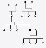 Alberi genealogici: distinguere ed identificare la modalità di trasmissione sui cromosomi sessuali
