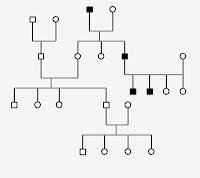Alberi genealogici: distinguere ed identificare la modalità di trasmissione sui cromosomi sessuali