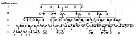 Alberi genealogici: distinguere ed identificare la modalità di trasmissione sui cromosomi autosomi