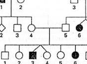 Alberi genealogici: distinguere identificare modalità trasmissione cromosomi autosomi