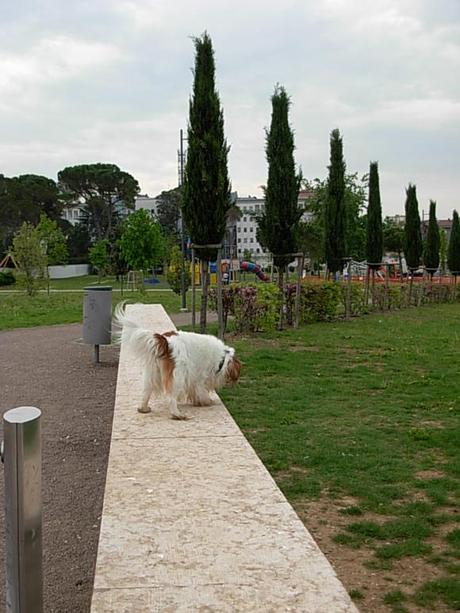 #purinaonepetdiary | La prima settimana è passata