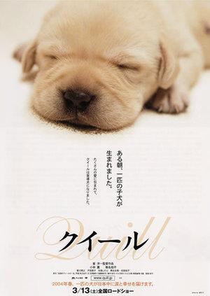 Film Giapponesi: Quill La vita di un cane guida