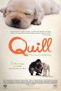 Film Giapponesi: Quill La vita di un cane guida