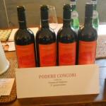 vini del podere concori