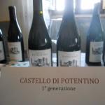 vini del castello di potentino