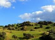 Aguzza vista