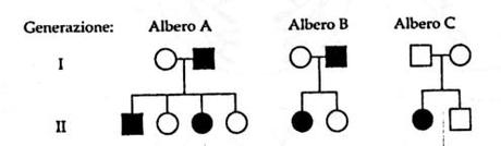 Alberi genealogici: esercizi con soluzioni 3