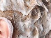 Cowash, questo sconosciuto…
