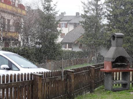 Oggi piove......anzi nevica