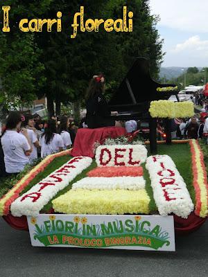 Attività all'aria aperta: Festa del fiore a Castino