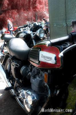 Rusty gold in Amsterdam