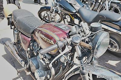 Rusty gold in Amsterdam