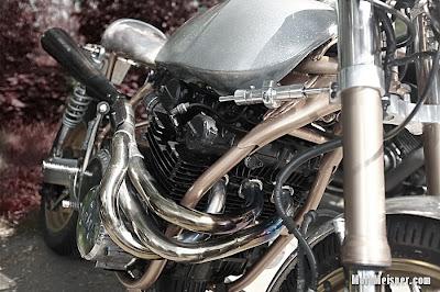 Rusty gold in Amsterdam