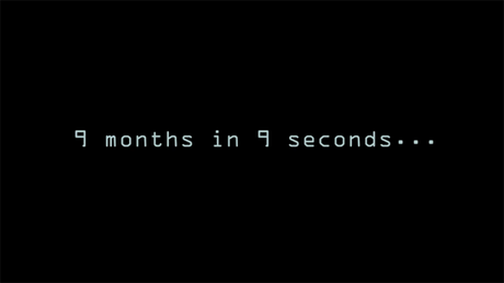 9 months in 9 seconds