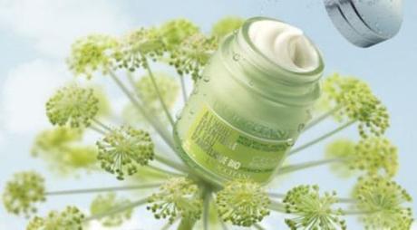 PREVIEW L'Occitane:Nuova Linea Idratante a base di ANGELICA BIOLOGICA