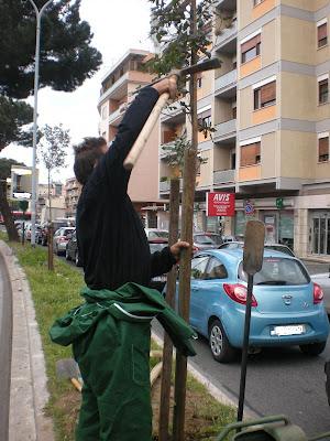 Alberi e fiori al posto dei cartelloni