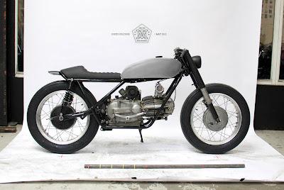 Evolution of the species