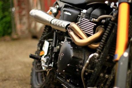 The TRIDAYS RUMBLER 12