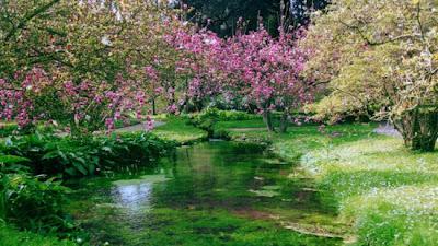 La Ninfa del Pontino