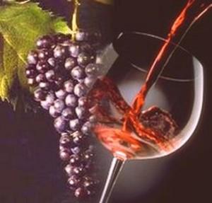 Atzara Sagra del vino  12 e 13 maggio 2012