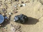 Possibili strutture biologiche meteorite Tissint
