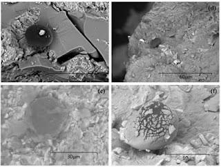 Possibili strutture biologiche sul meteorite di Tissint