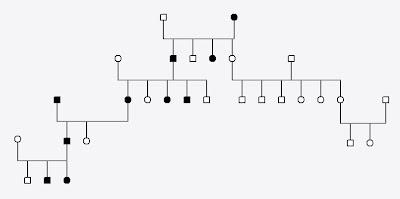 Alberi genealogici. esercizi con soluzioni 7