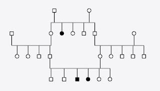 Alberi genealogici. esercizi con soluzioni 7