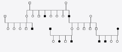 Alberi genealogici. esercizi con soluzioni 7