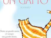 Recensione: SONO SOLO GATTO