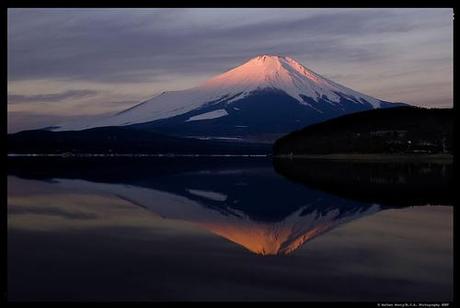FAGLIA ATTIVA SOTTO IL MONTE FUJIAMA