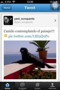 FOTO-Yanina su Twitter: “Camilo osserva il paesaggio….”