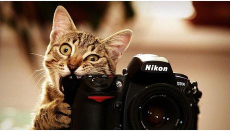 Logo-Design-esempi-di-loghi-per-fotografi