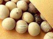 semi soia sostanza proprietà anticancro antinfiammatorie