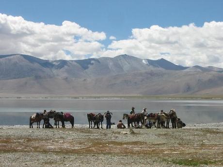 relazione art 2011 cure palliative