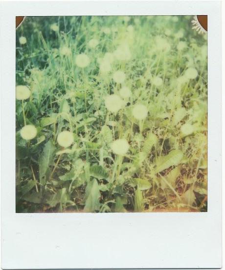 Friday I'm in love with...Polaroid! - WEEK 36/52
