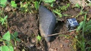 Caccia ai frammenti del meteorite caduto in California